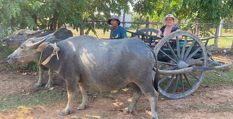 angkor-buffollo